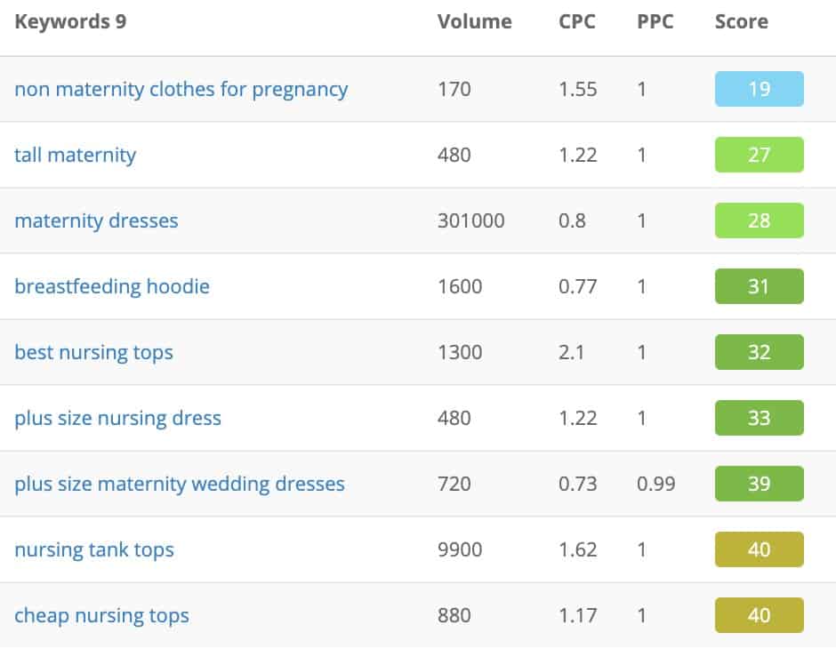 maternity clothes niche keywords