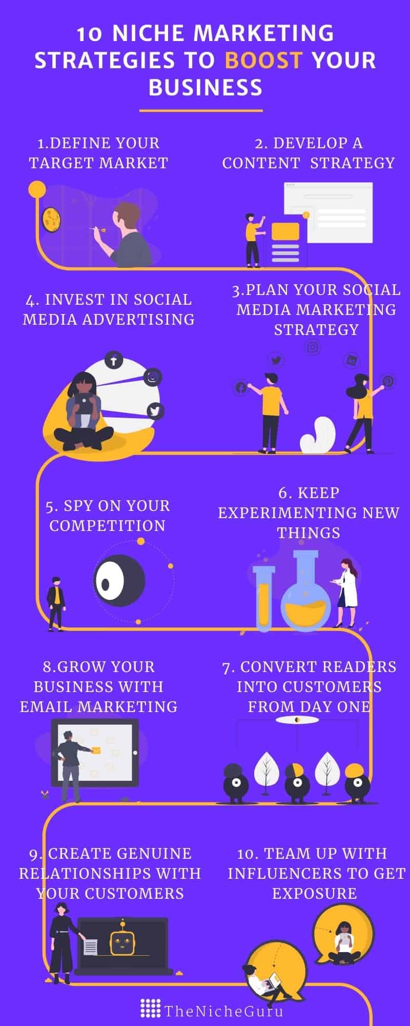 niche marketing strategies infographic