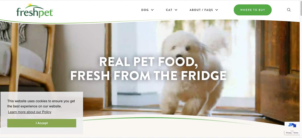 fresh pet blog