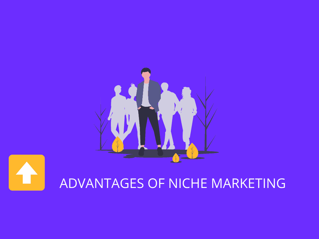 advantages of niche marketing